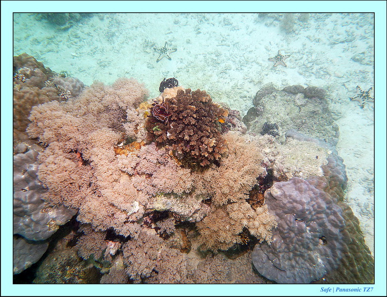 2011 - 08 - Bohey Dulang Island 21